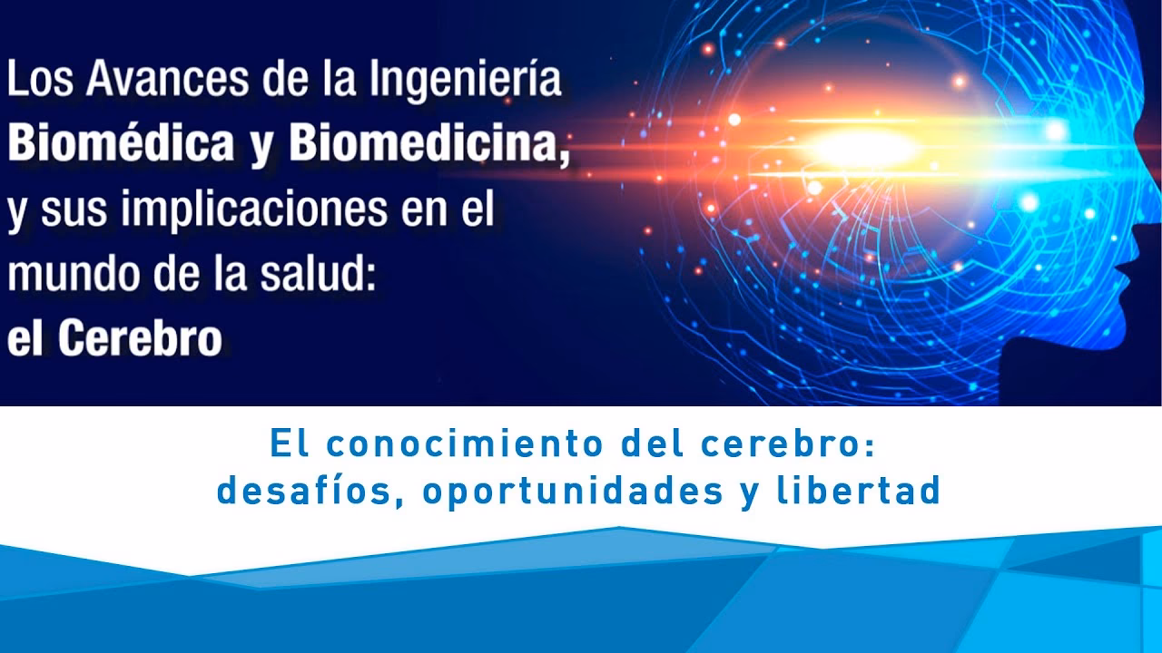 ¿Pueden los ingenieros biomédicos trabajar en neurociencia?