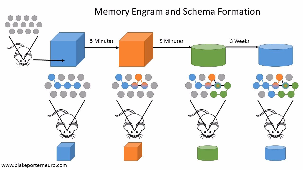 How scientifically accurate is Inside Out?