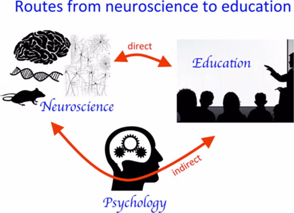 What does insight mean in neurology?