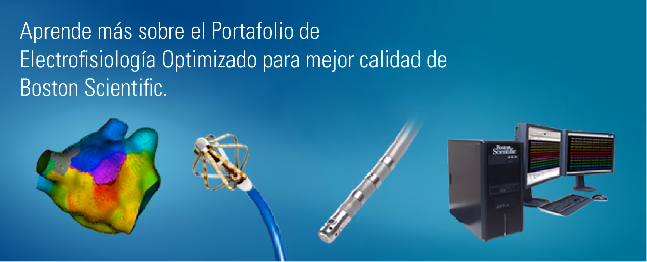 ¿Cuáles son los diferentes tipos de electrofisiología en neurociencia?