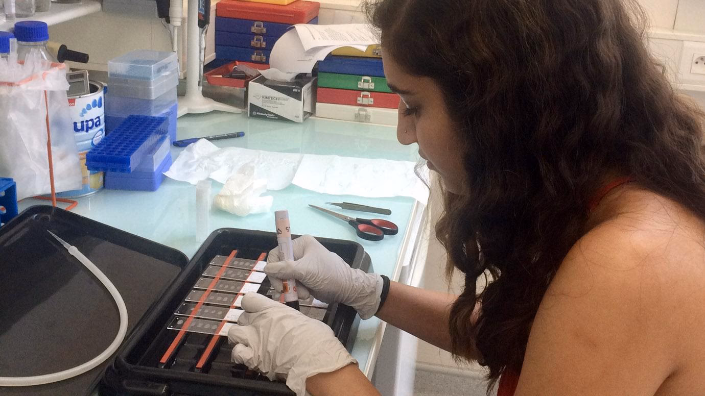 How to get an internship at the European Space Agency?