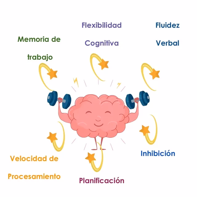 ¿Qué son las funciones ejecutivas en la neurociencia?
