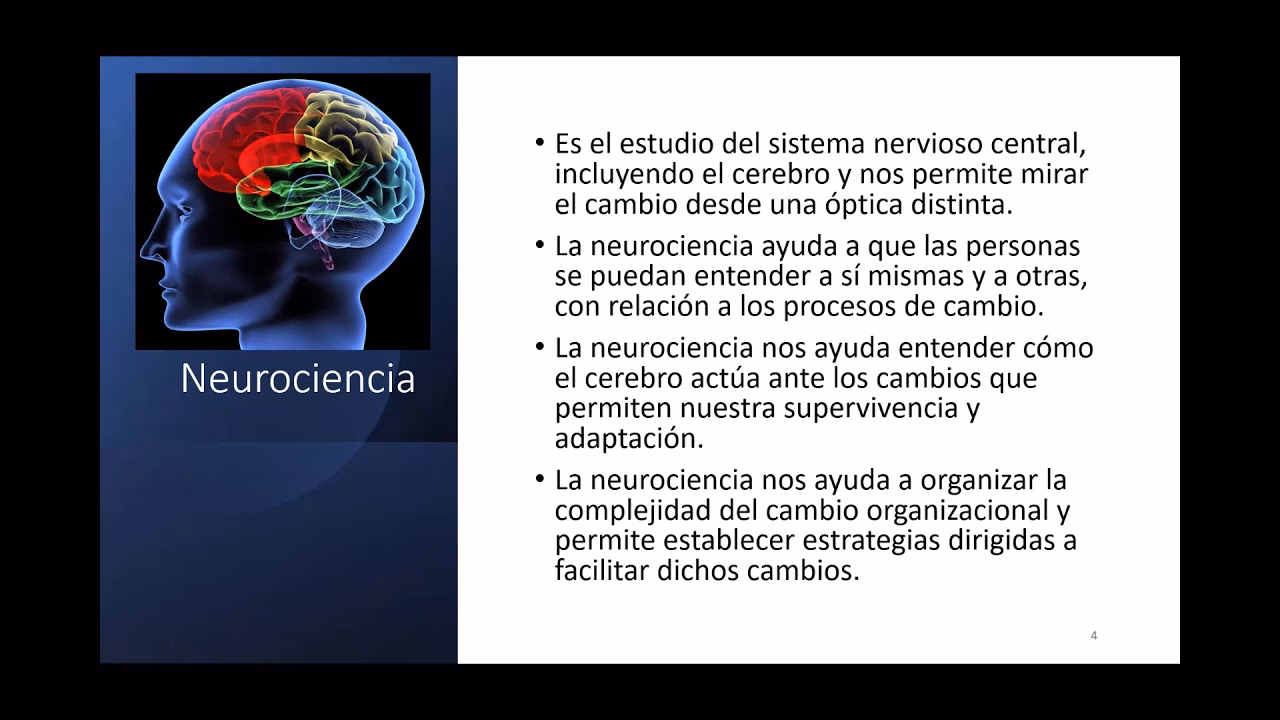 ¿Qué es una introducción a la neurociencia?