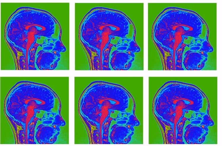 What is the neuroscience behind gut feeling?