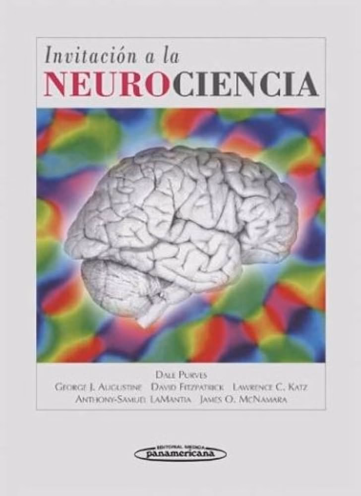¿Qué es la neurociencia de la gratitud?