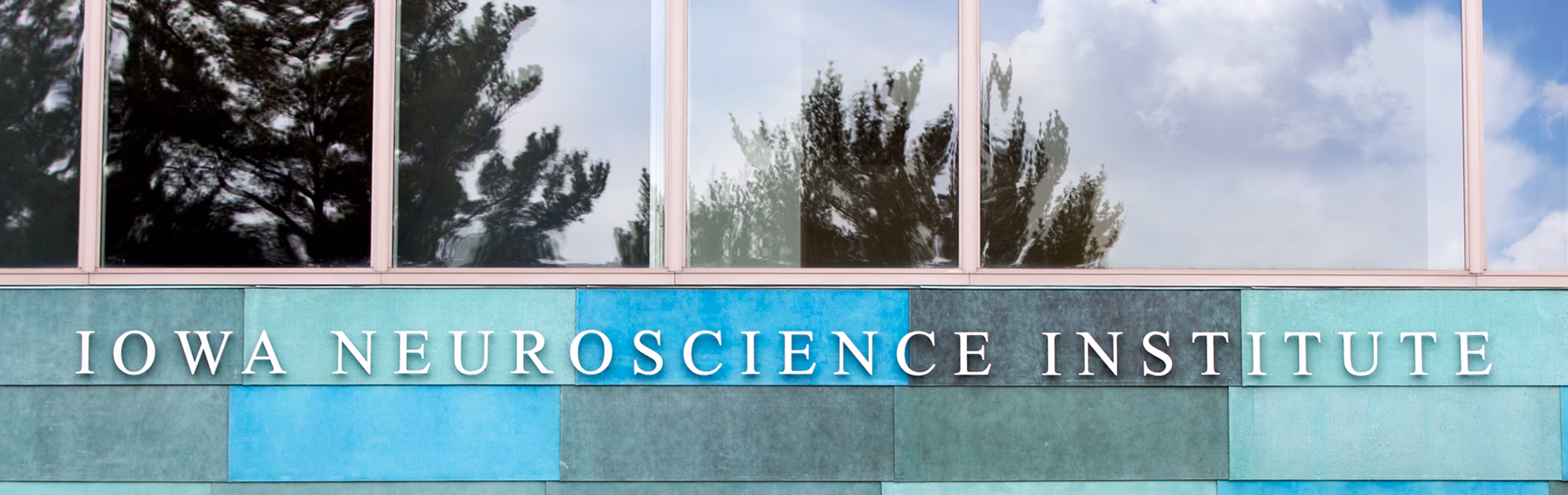 What rank is University of Iowa neuroscience?