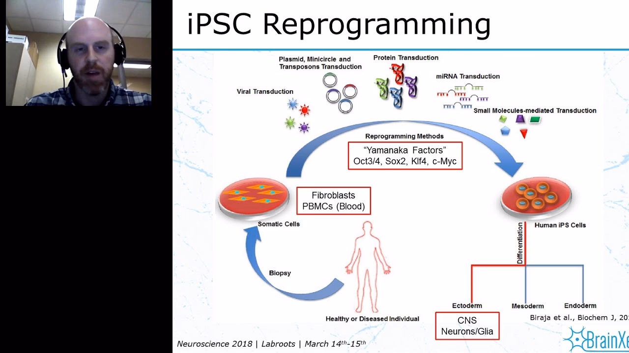 What is iPSC in neuroscience?
