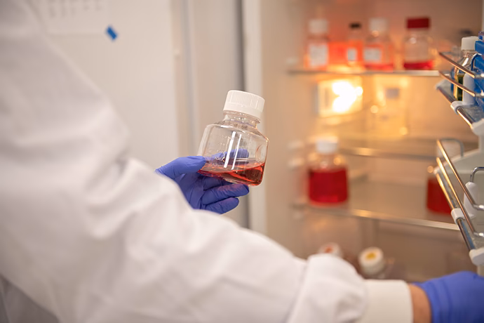 What are the four pillars of Ipsen?