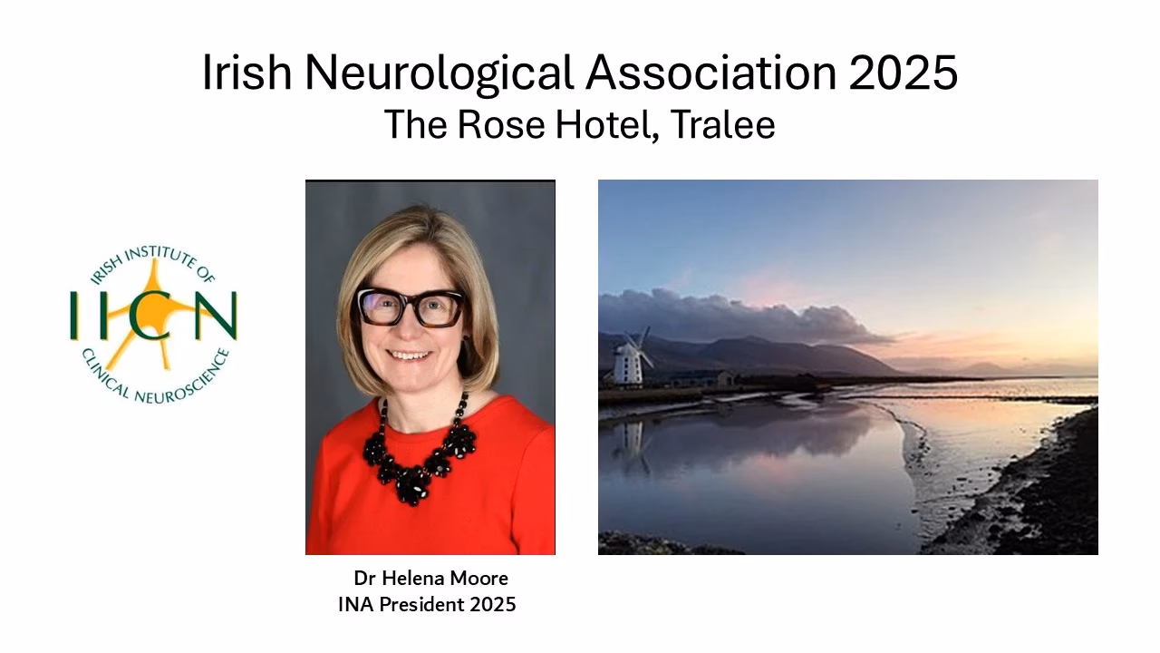 What is the Neurological Association of Ireland?