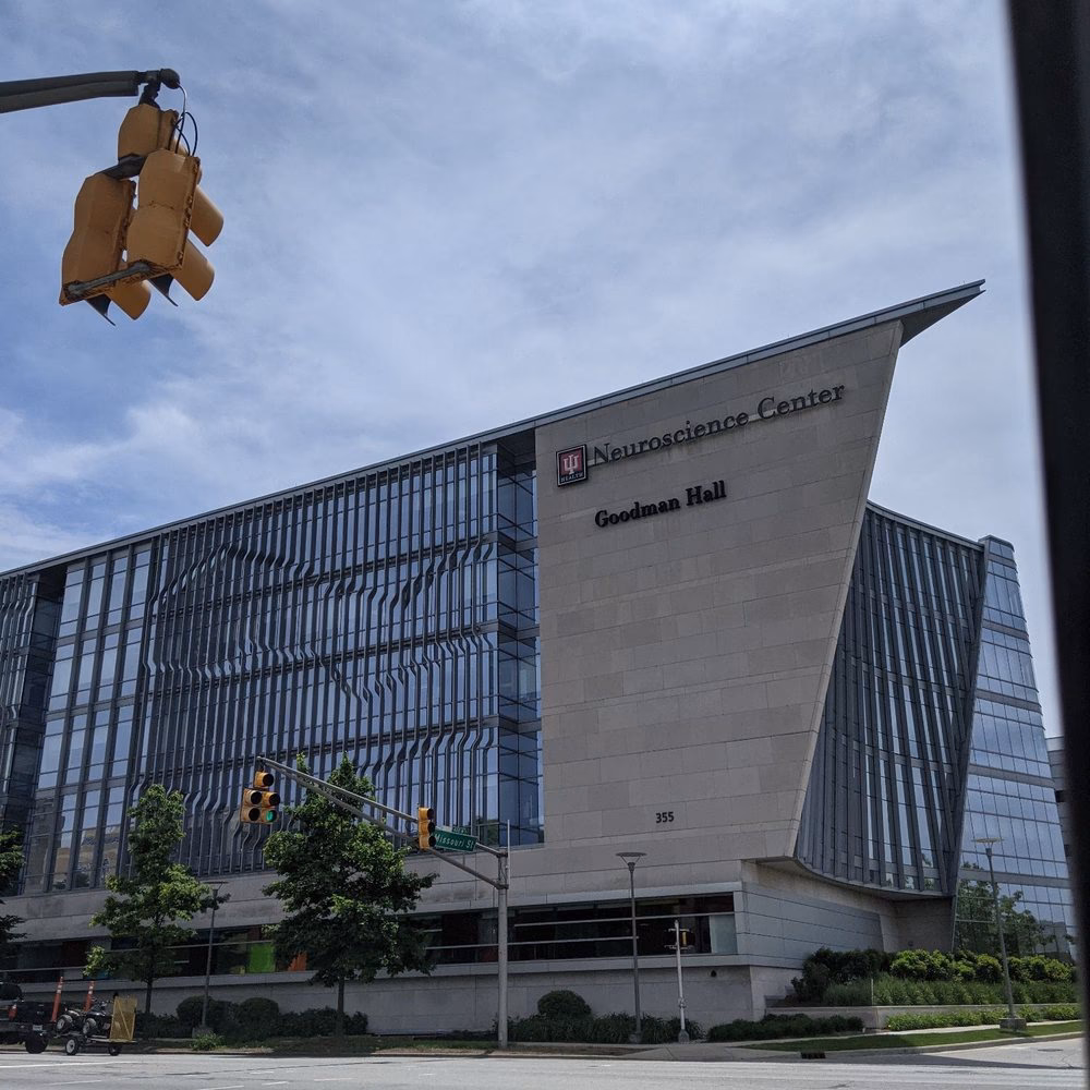 What is the no show policy at IU Health?