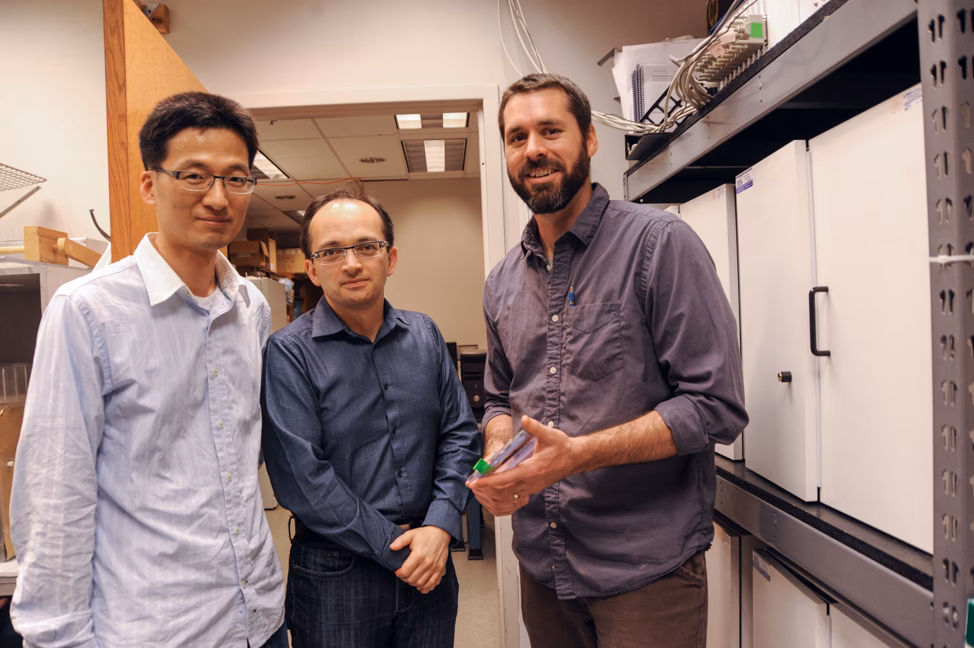 What is the neuroscience of addiction course?