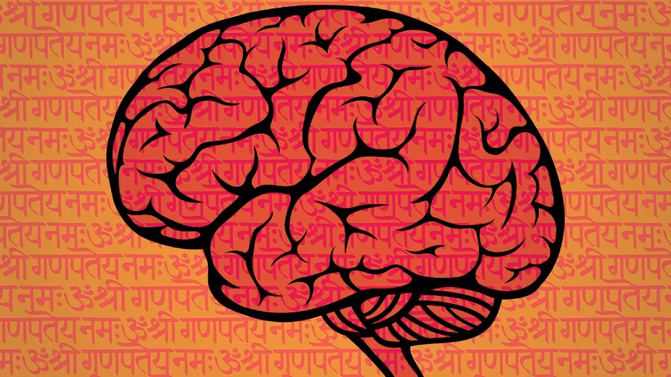 Is the Sanskrit effect true?