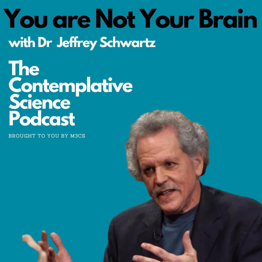 What are the four steps of Jeffrey Schwartz's cognitive behavioral therapy for OCD symptoms?