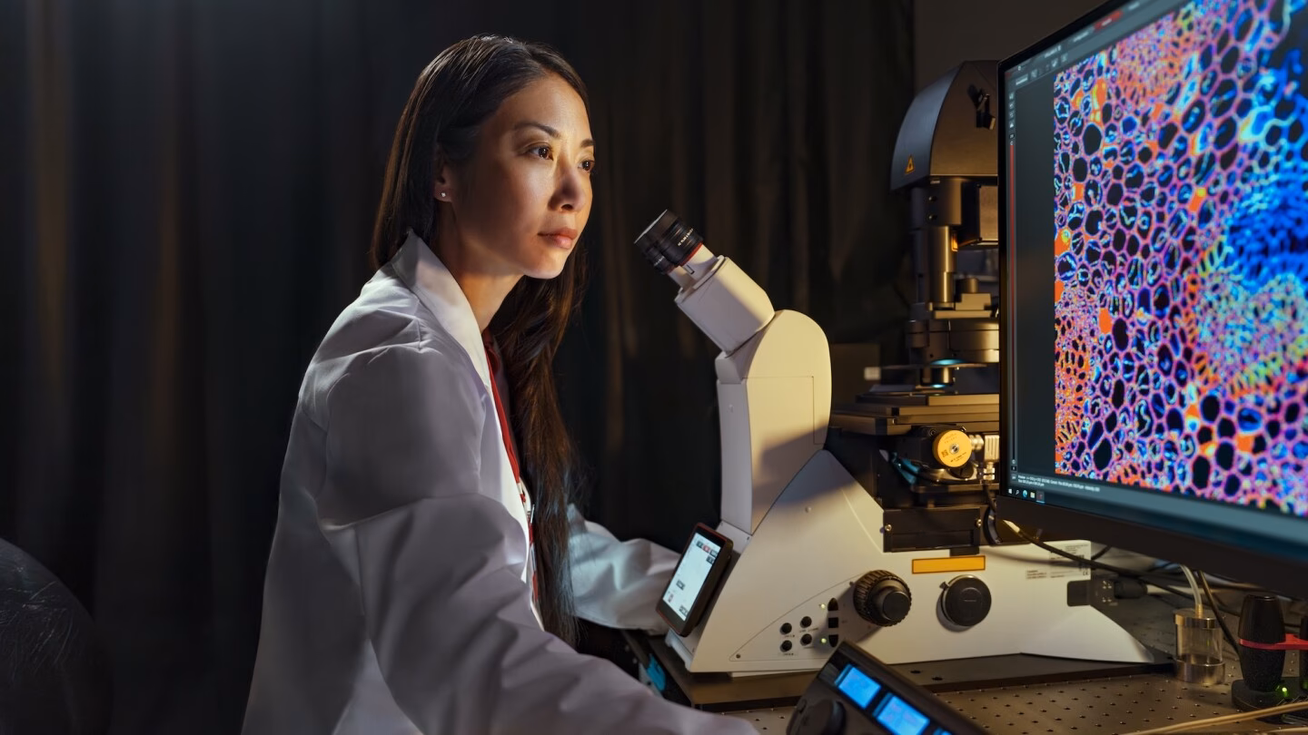 What pharmaceuticals does Johnson & Johnson produce?