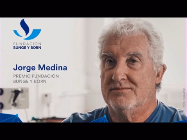 ¿Quién es Jorge H Medina?