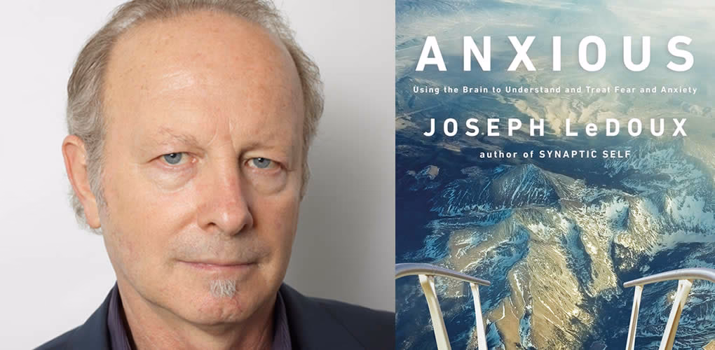 What is LeDoux's theory of the emotional brain?