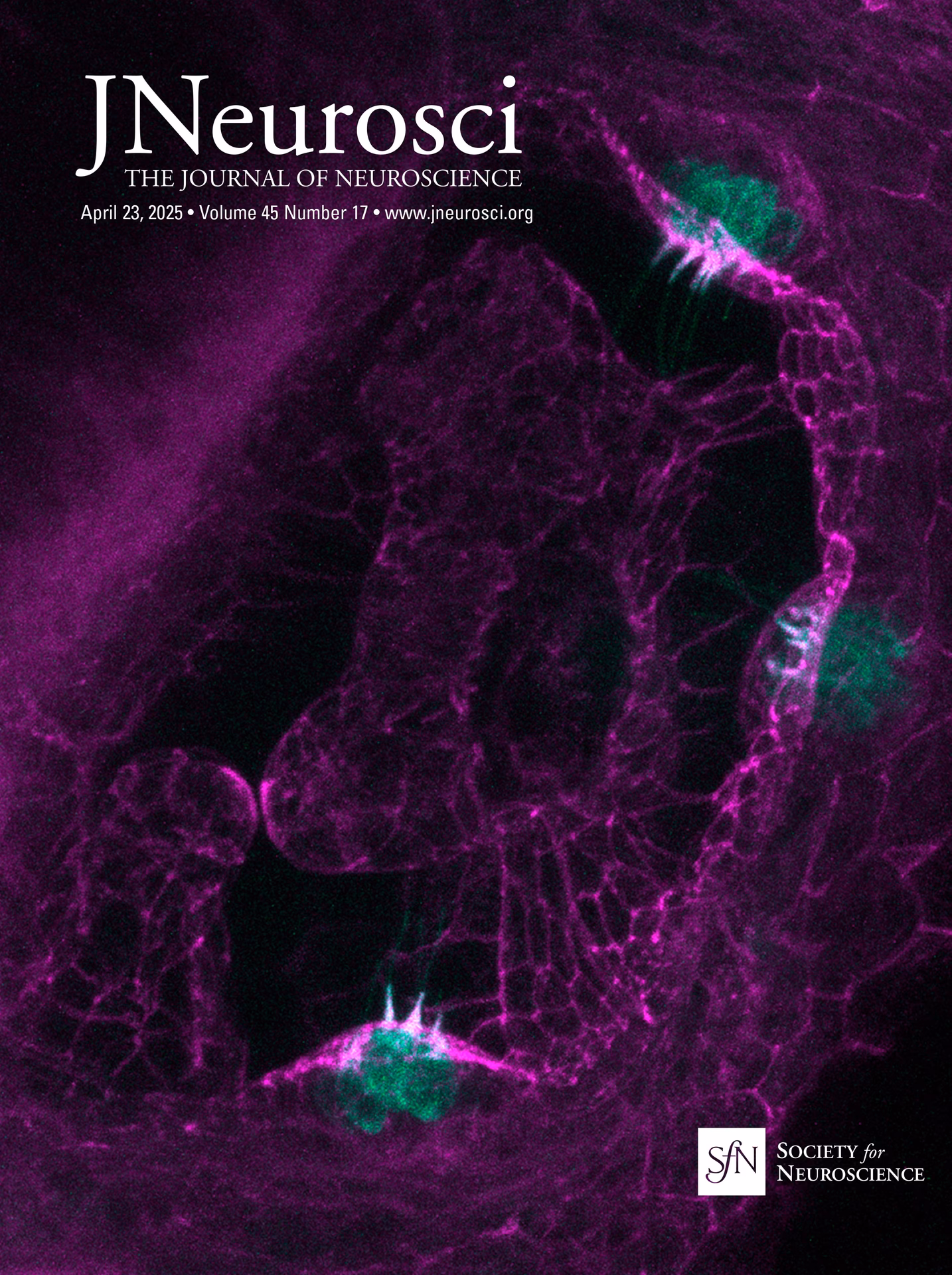 What is the short form of Journal of Neuroscience Methods?
