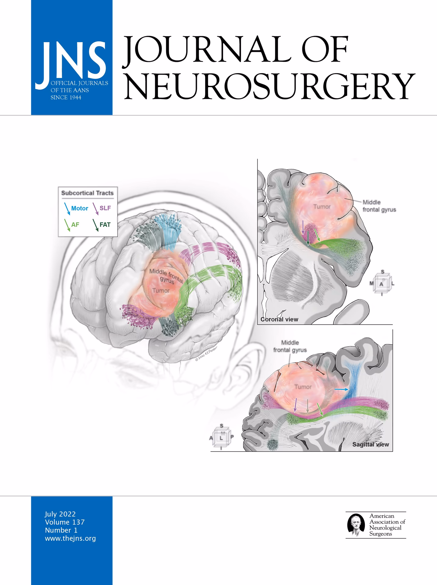 What is the most prestigious neurosurgery journal?