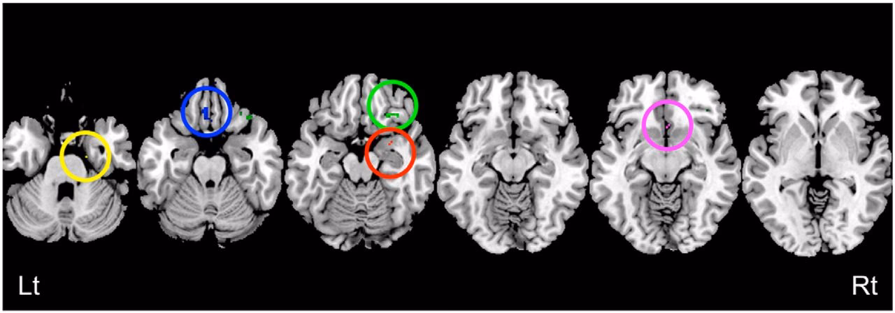 Why is the mother-daughter bond so special?