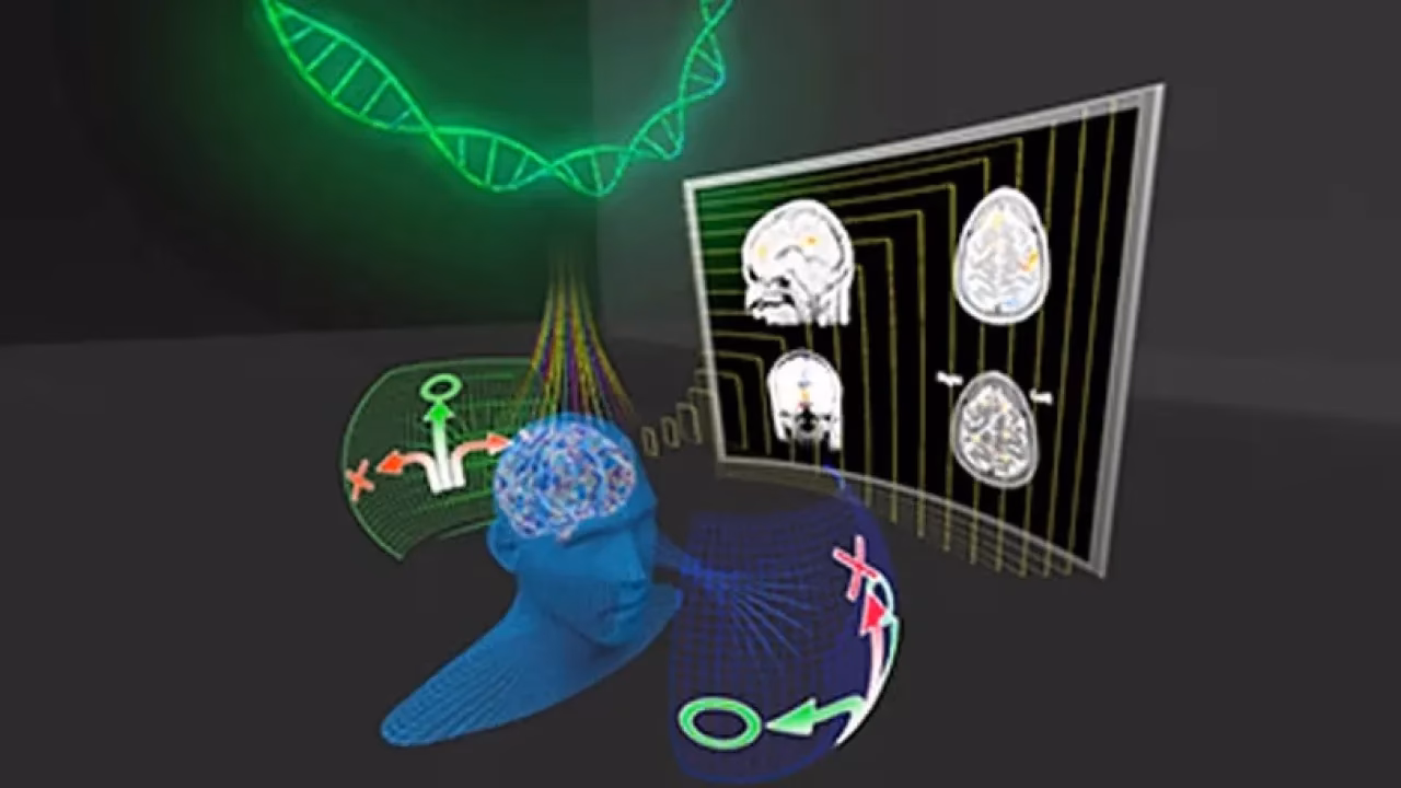 Is it hard to get into KAUST?