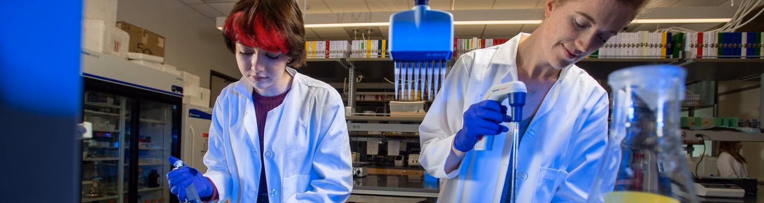 What major is KSU known for?