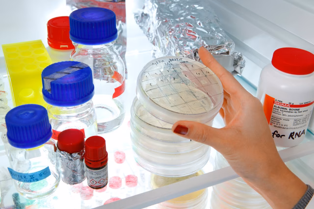 Is Chalmers better than KTH?