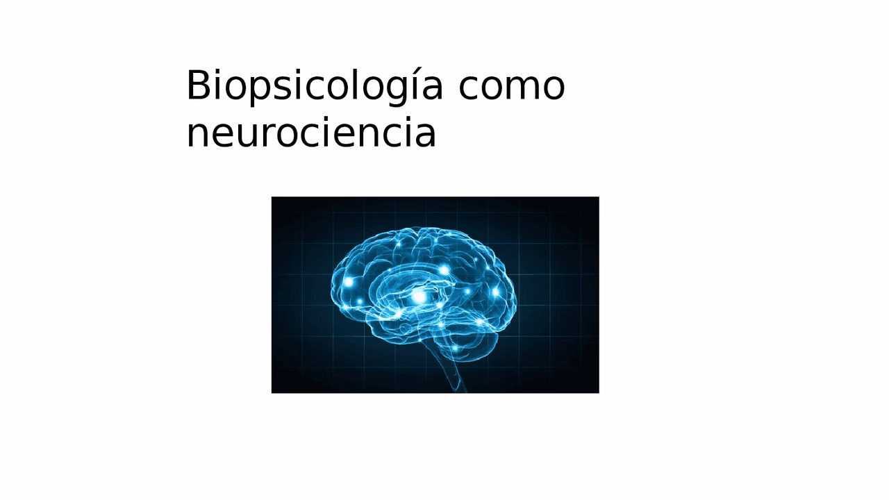 ¿Qué es el enfoque biopsicológico?