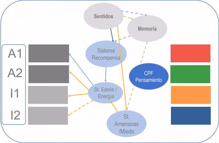 ¿Qué es la neuropsicología de la conducta?