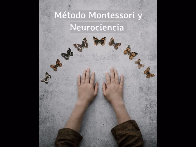 ¿Qué dice Montessori sobre el desarrollo cognitivo?