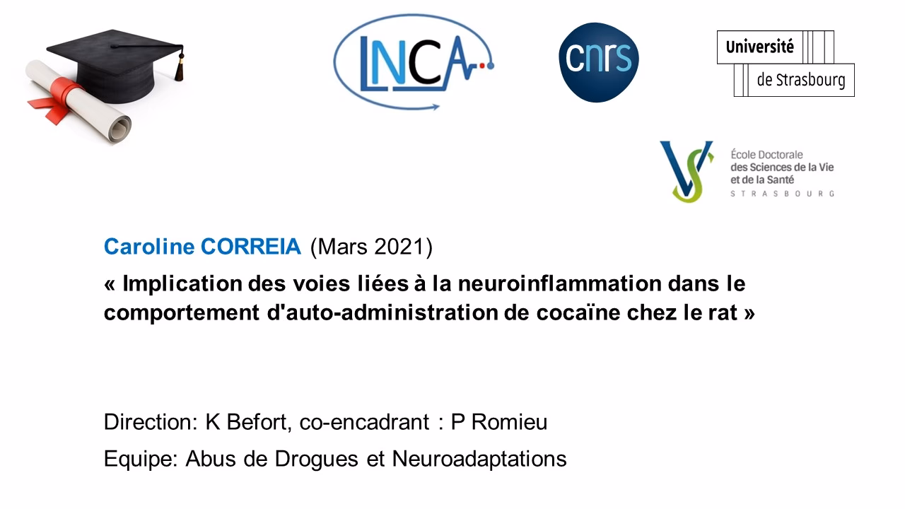 Quel métier avec des sciences cognitives ?