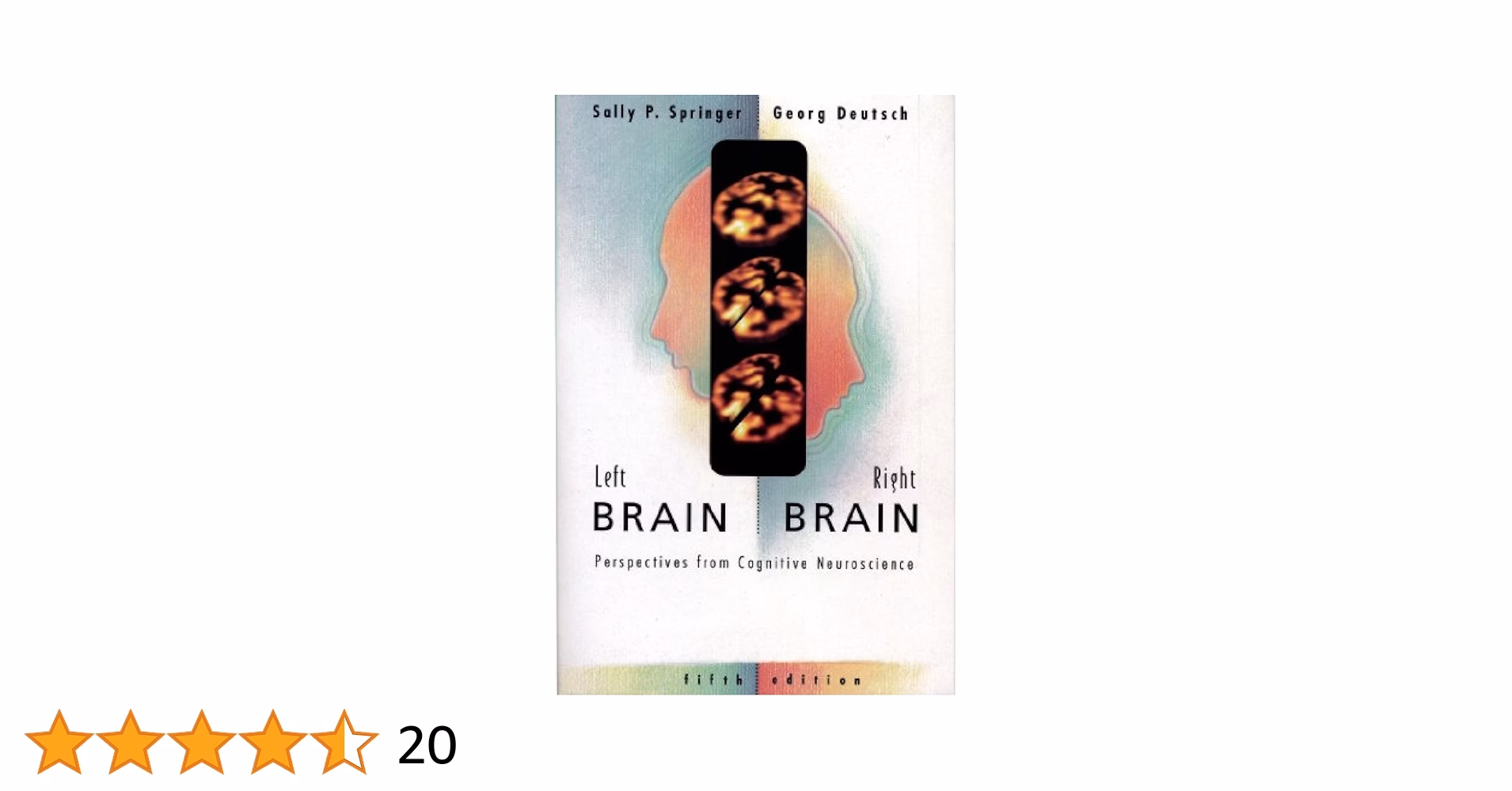 Which part of the brain is responsible for thinking left or right?