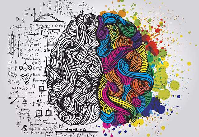 Are smart people left or right brained?