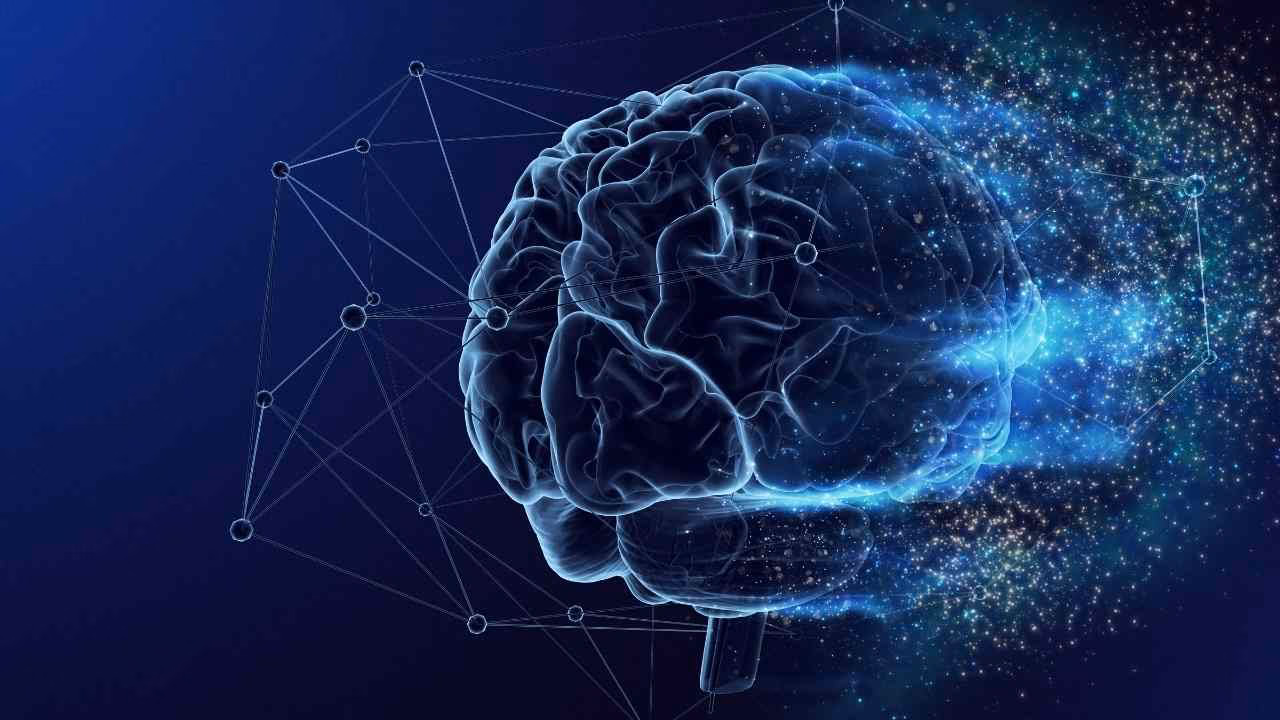 ¿Qué parte del cerebro está relacionada con el lenguaje?