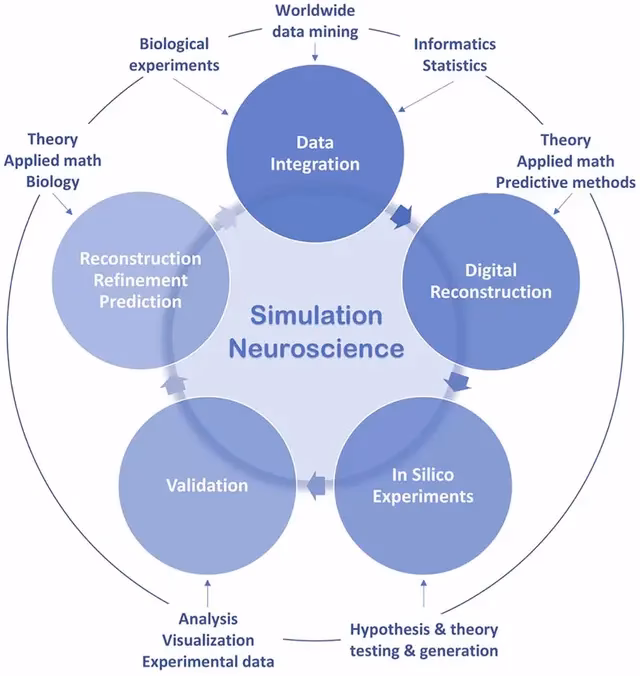 What are the best A levels for neuroscience?