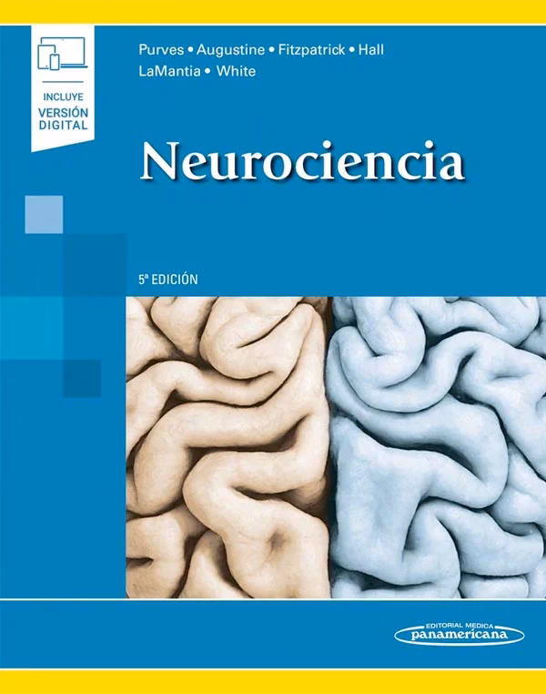 ¿Cómo empiezo a estudiar neurociencia?