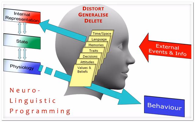 What do neuro linguists do?