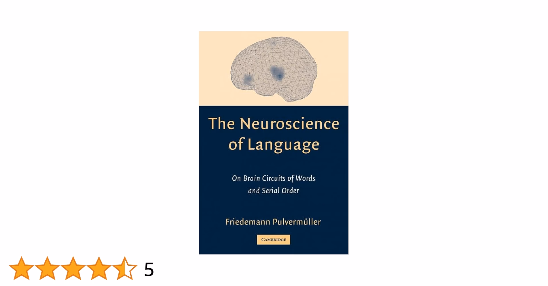 How are the brain and linguistics linked?