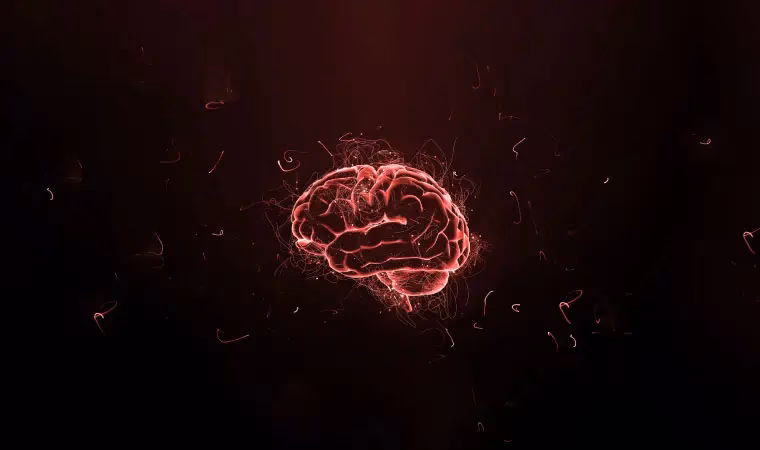 ¿Dónde estudiar Neurociencias en el Perú?