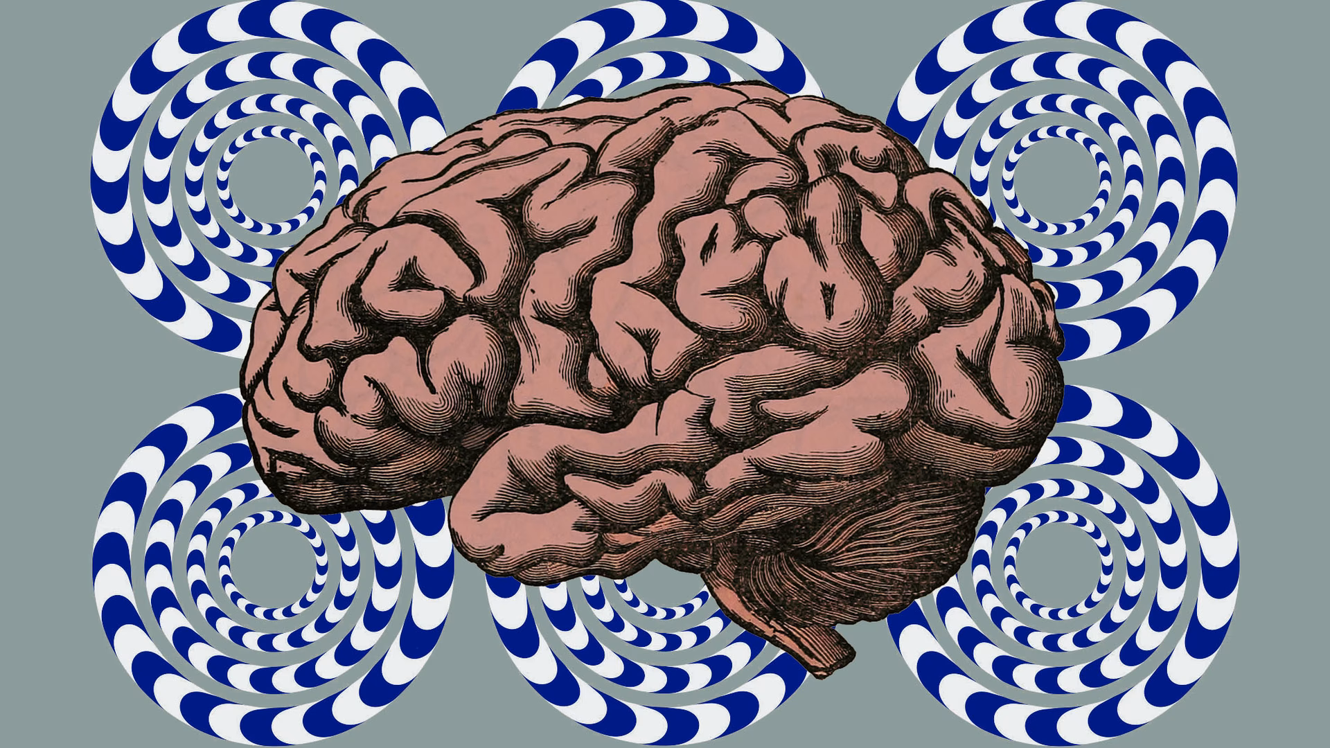 ¿Cuál es la relación entre la magia y la neurociencia?