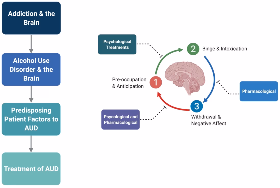 What part of the brain controls drinking?