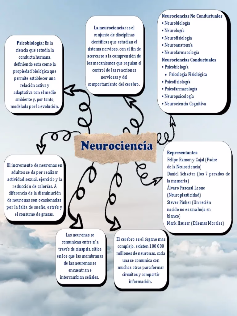 ¿Cómo ayuda la neuroética al aprendizaje?