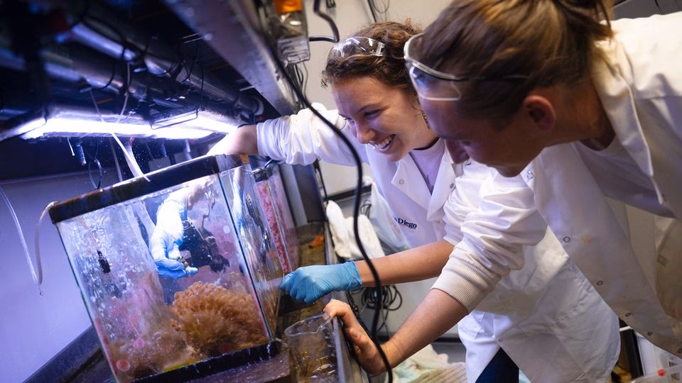 What is the difference between a marine biologist and an oceanologist?