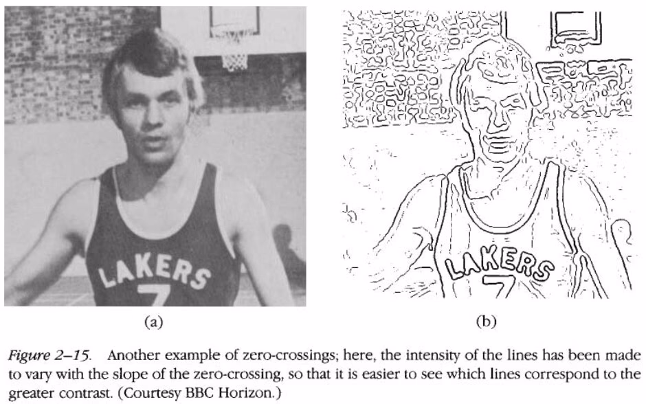 What is Marr's theory?