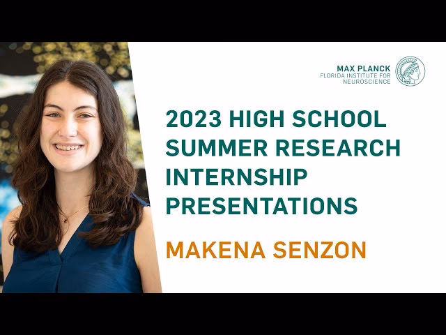 How to get an internship at Max Planck Institute?