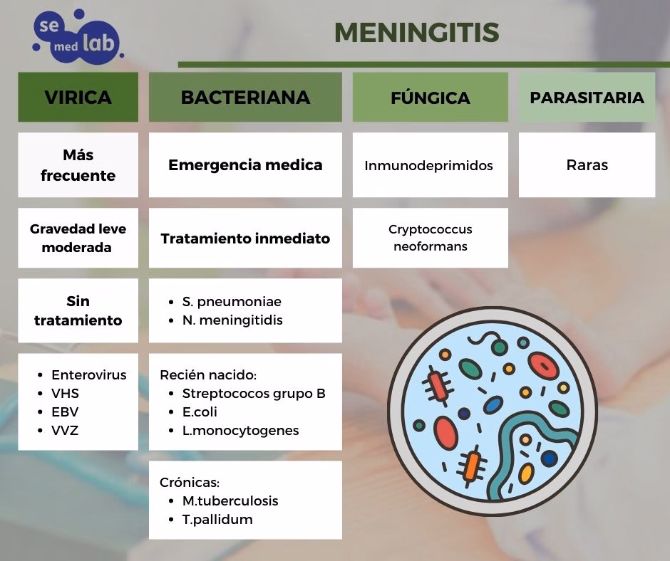 ¿Cómo puedo diferenciar una meningitis de una encefalitis?