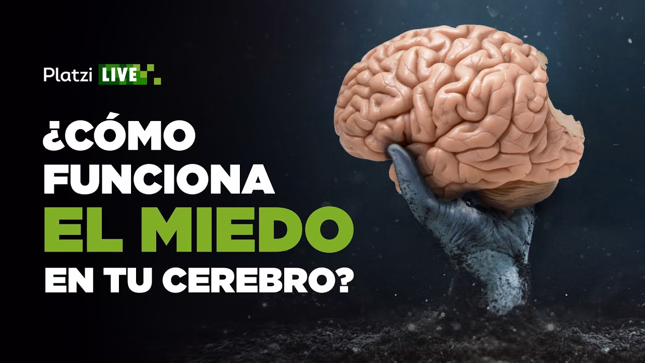 ¿Qué es la neurociencia detrás del miedo?