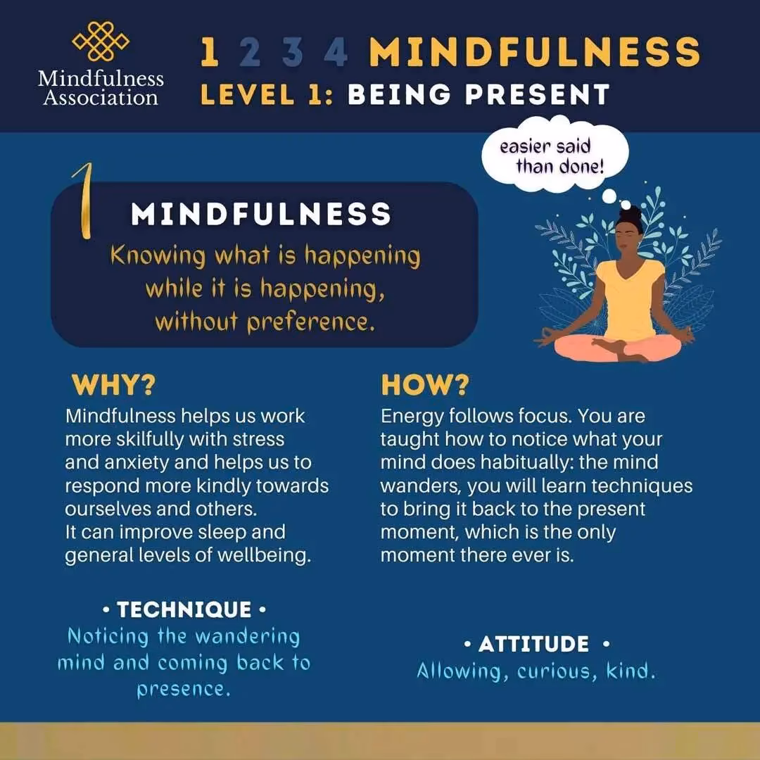 What is mindfulness workshops?