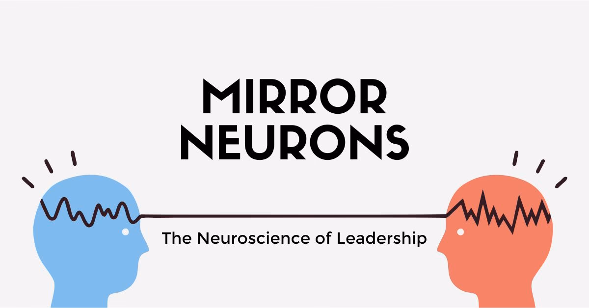 What are mirror neurons in simply psychology?