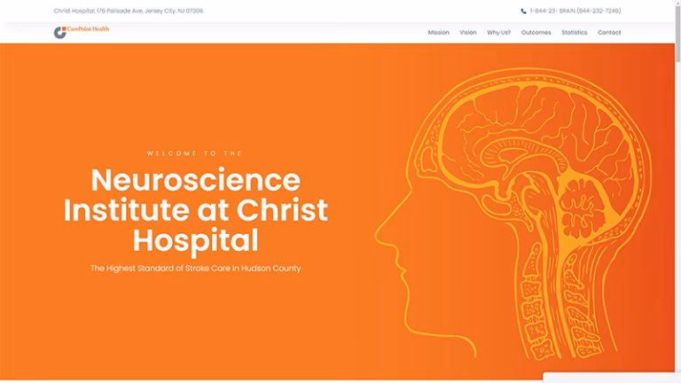 What is the Chicago Neuroscience Center of Excellence?