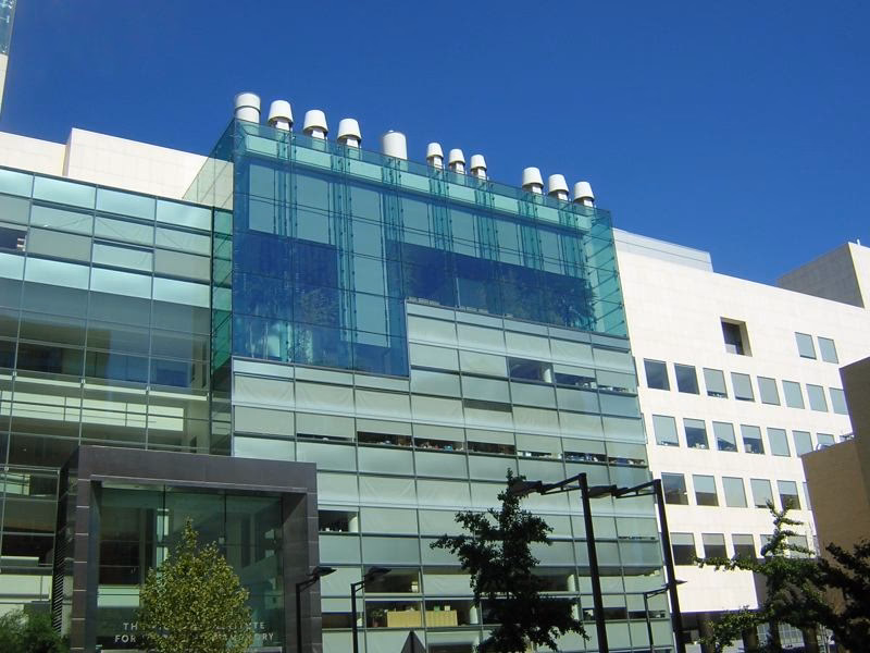 Is MIT good for neuroscience?